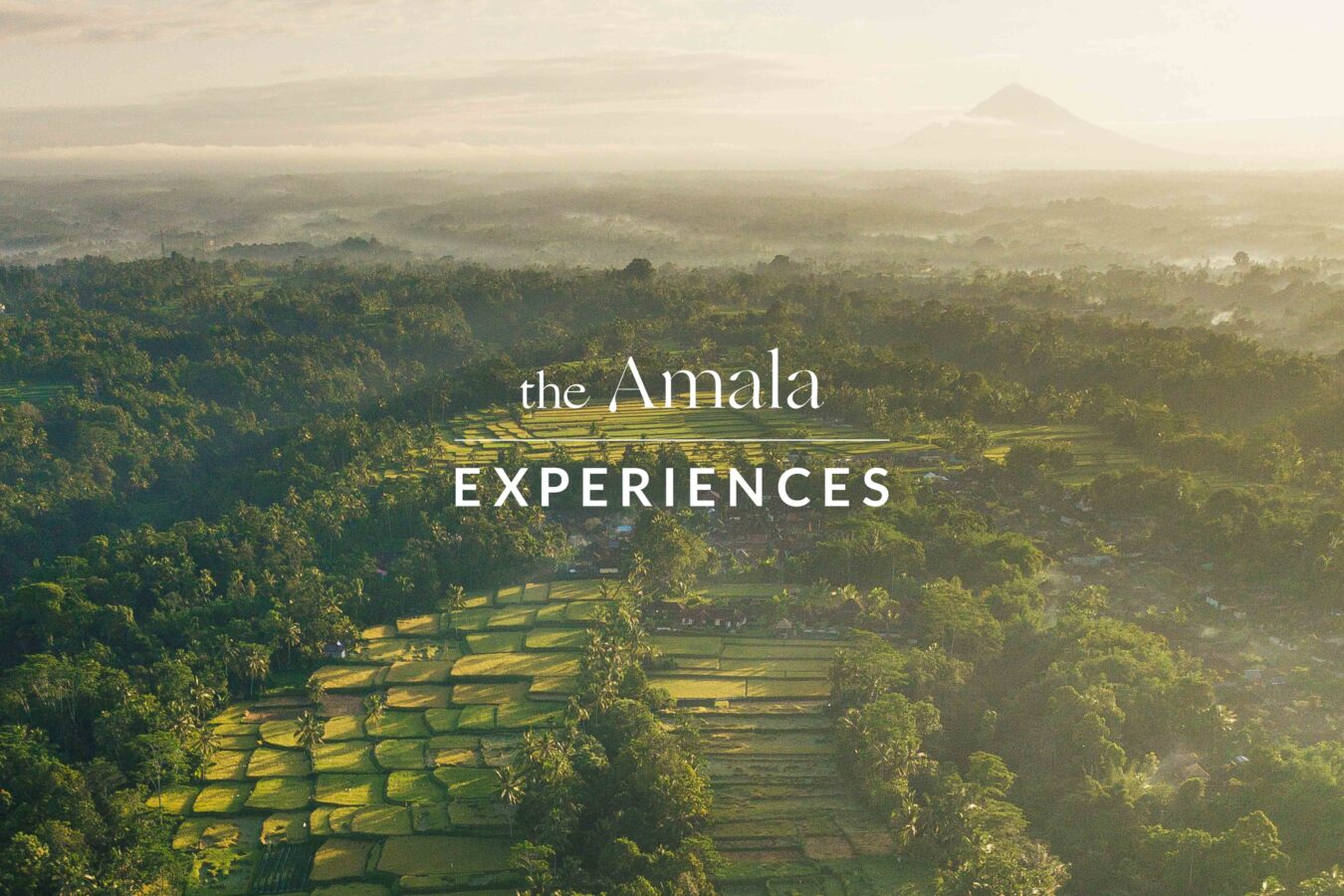 amala-experiences